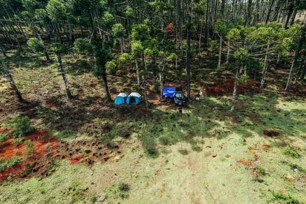 Voyager malin avec une plateforme de réservation : immersion dans un monde d'économies et d'avis clients